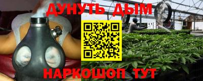 сатива Волжский